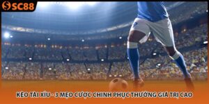 Kèo Tài Xỉu - 3 Mẹo Cược Chinh Phục Thưởng Giá Trị Cao